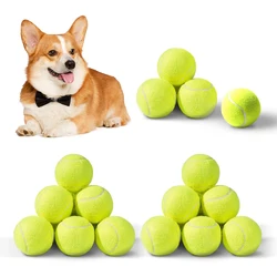 Pelotas de tenis para perros – Juguetes para lanzar y recuperar