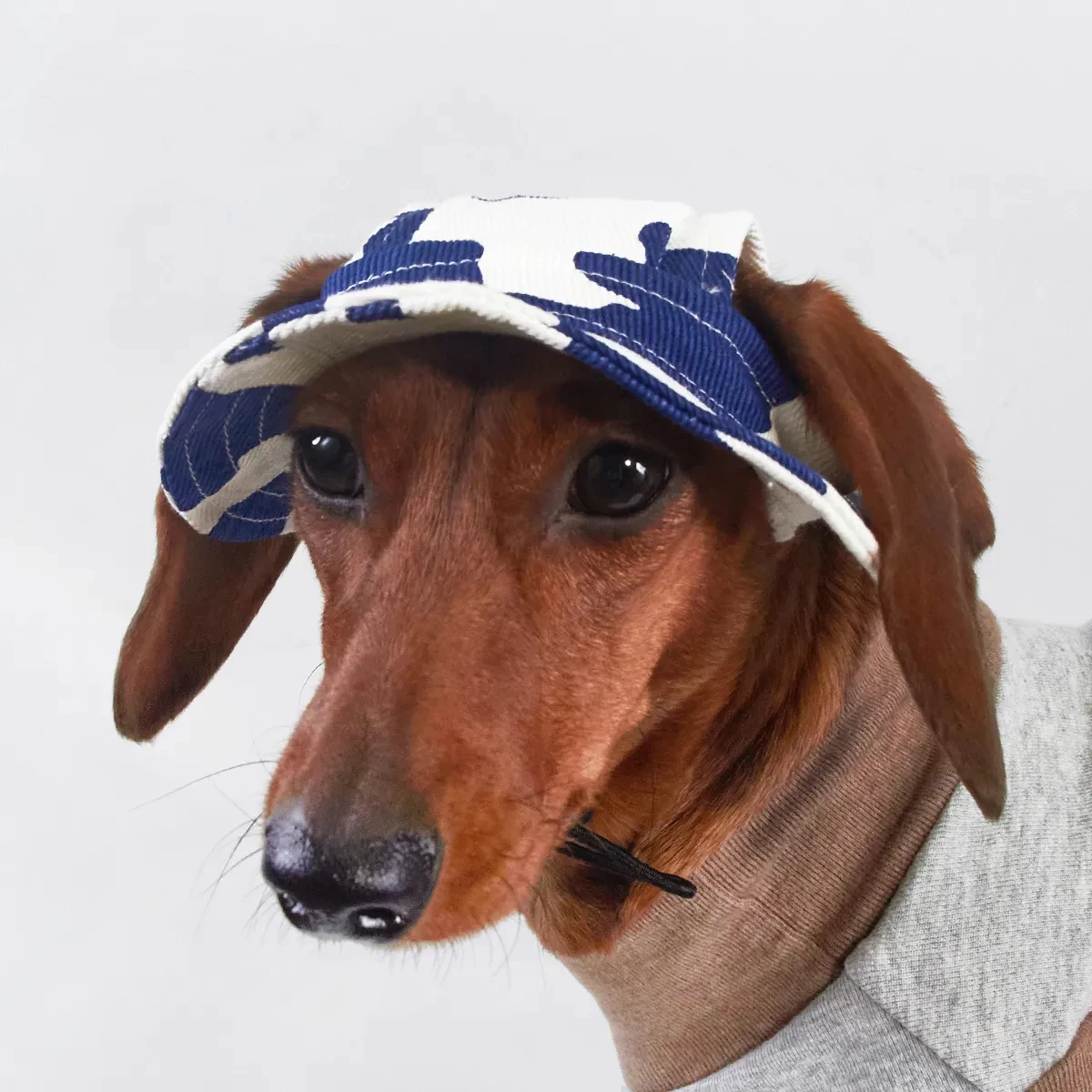 Gorra solar transpirable para perros pequeños y medianos con orejas - imagen 3