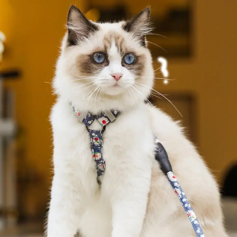 1 Juego de correas para gatos con costuras firmes, arnés para el pecho, correa larga, cuerda de tracción para mascotas, correa trasera, hebilla, accesorios para perros y gatos