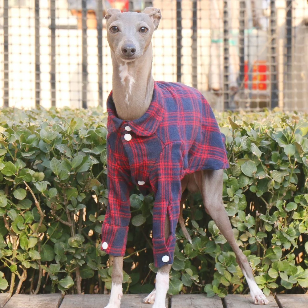 Abrigo de primavera de manga larga de algodón verde para perros medianos, camisa a cuadros de café suave para chaqueta roja Whippet de galgo italiano en otoño - imagen 5