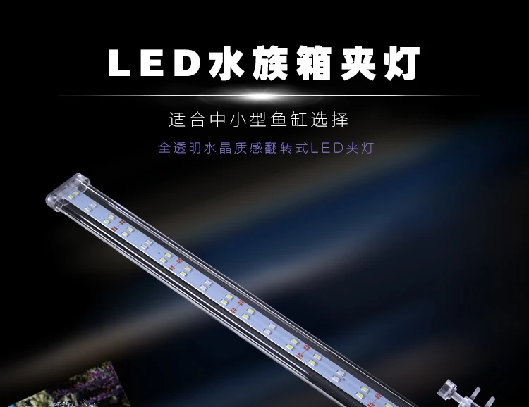 Luz LED instalada en acuario de cristal