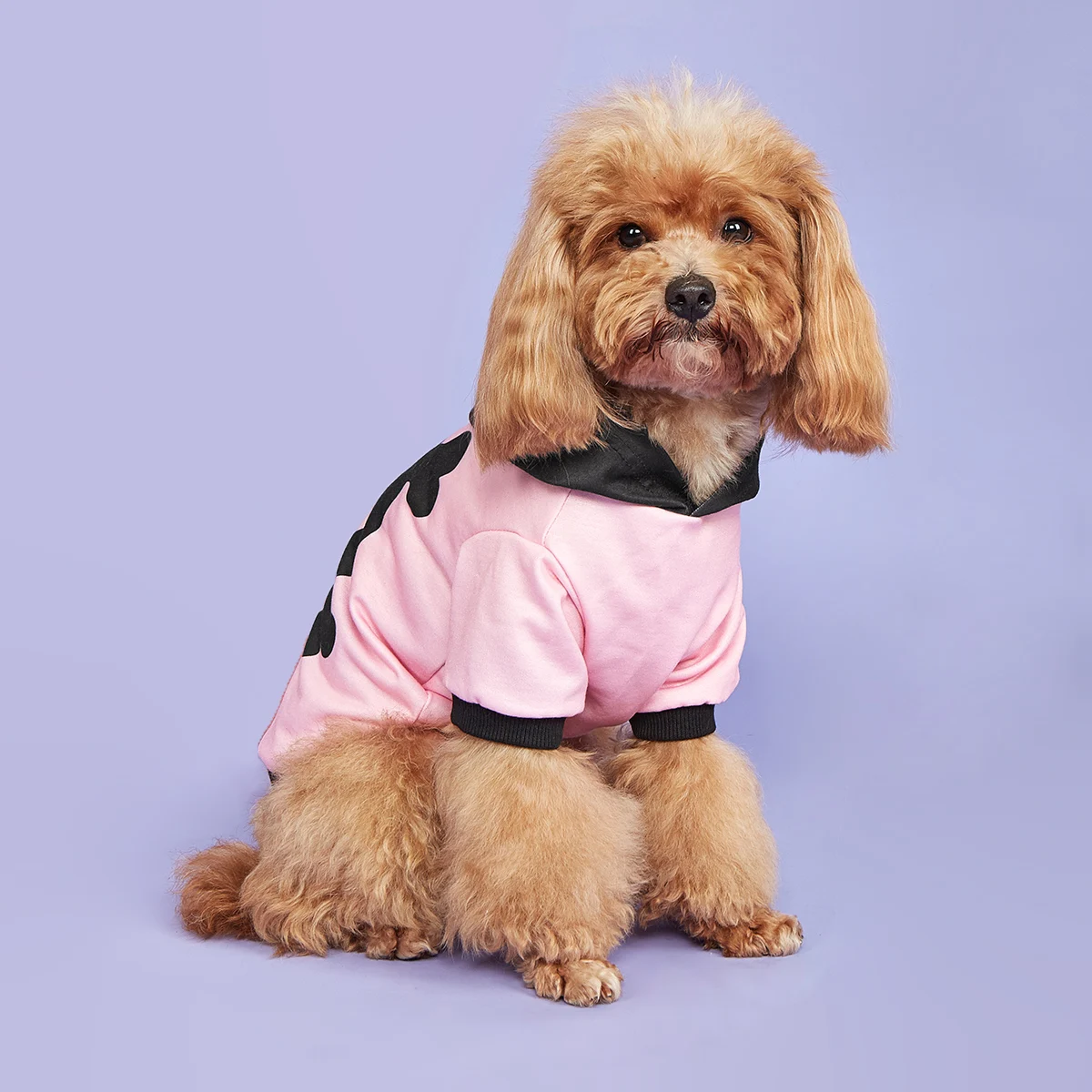 Sudadera con capucha para perro, camisas rosas de Halloween, ropa para perro con patrón de calavera y hueso, sudaderas para perro, ropa para mascotas, ropa de tortuga - imagen 2