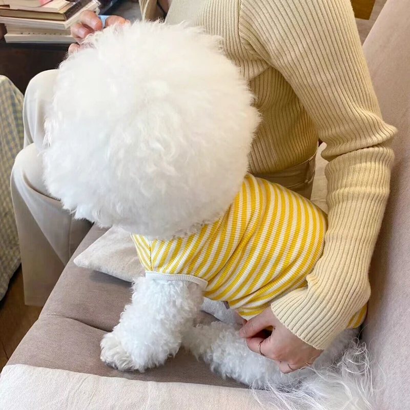 Chaleco fino para perro, chaqueta púrpura para gato, Bichon Teddy, ropa transpirable, ropa de punto a la moda, suministros para mascotas, accesorios para primavera y verano - imagen 5