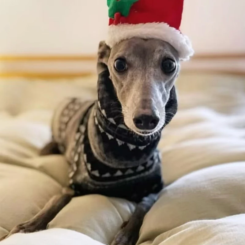 Chaleco para perro de cuello alto a rayas, color gris y negro, para galgo, sin mangas, ropa de alta elasticidad para Whipbit en otoño, primavera - imagen 4