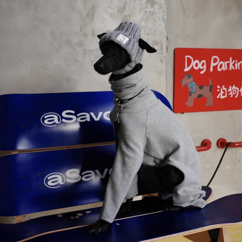 Gorro de lana gris tejido a mano para perros en invierno, cubierta cálida para cabeza de Whippet de galgo italiano, con orejas expostas en otoño
