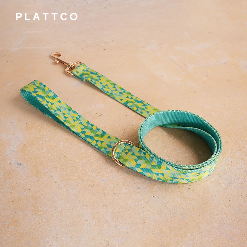 PLATTCO-Conjunto de perro de diseño único, estampado brillante, patrón posterior con hebilla de aleación de zinc de color claro de alta calidad, 5 tamaños, PDC311G y PDL311G - imagen 3