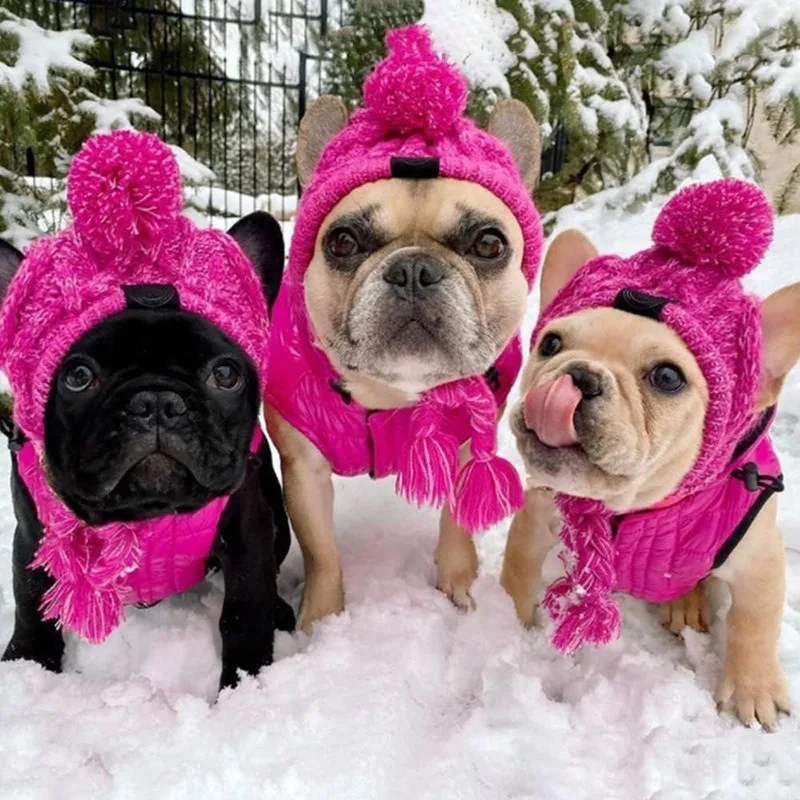 Gorro suave de invierno para perro, gorro cálido de punto con orificios para las orejas, a prueba de viento, para Bulldog Francés, para cachorro, pequeño y mediano - imagen 4
