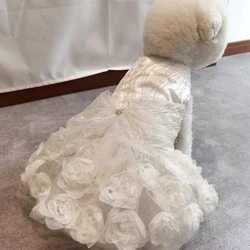 Traje formal con encaje para perros pequeños – Blanco y rosa