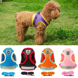Arnés y correa ajustable para perro – set cómodo resistente