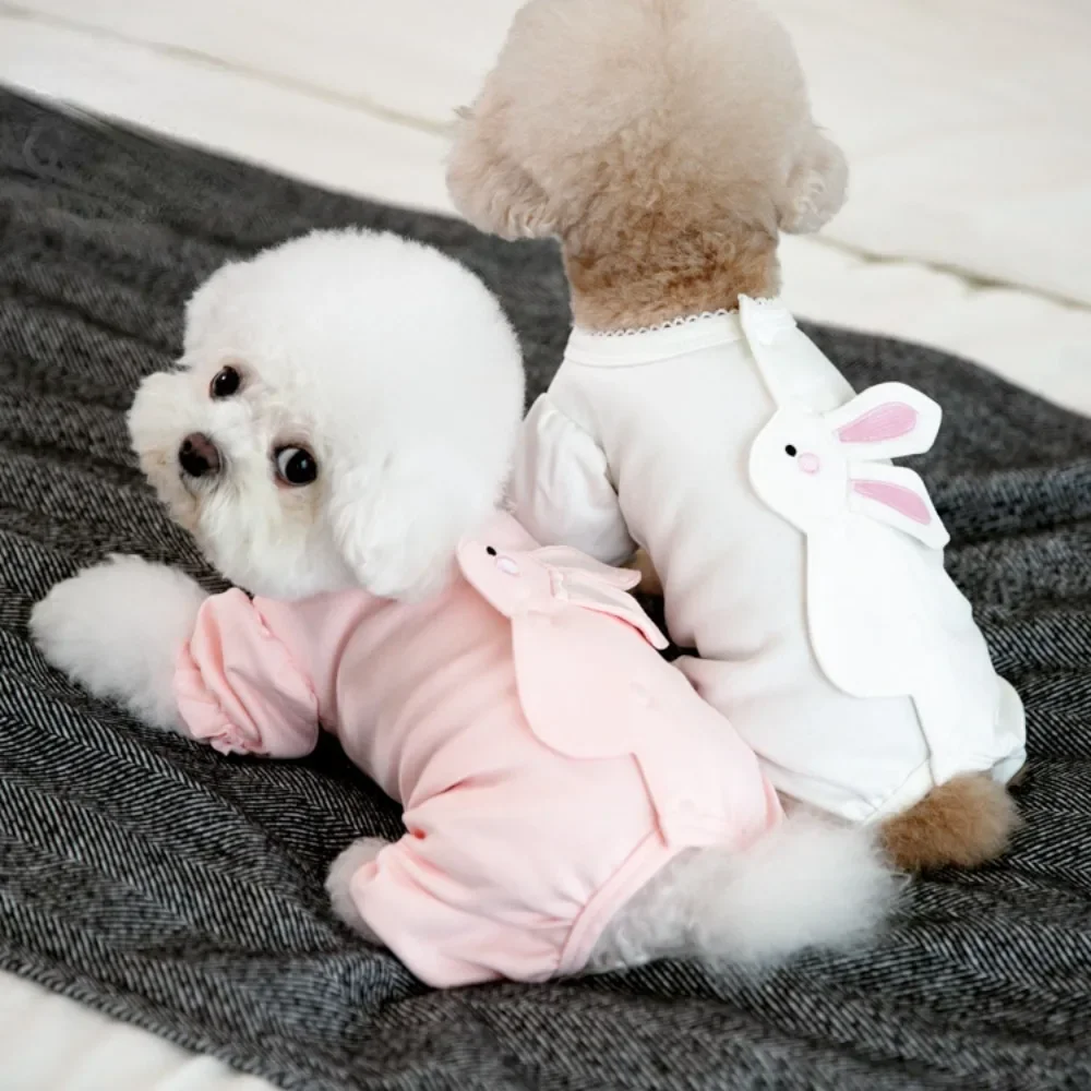 Animal de compagnie Otoño/Invierno conejo pantalones de cuatro patas vestido de transformación de Halloween mono para mascotas gato/perro ropa para mascotas ropa de peluche - imagen 2