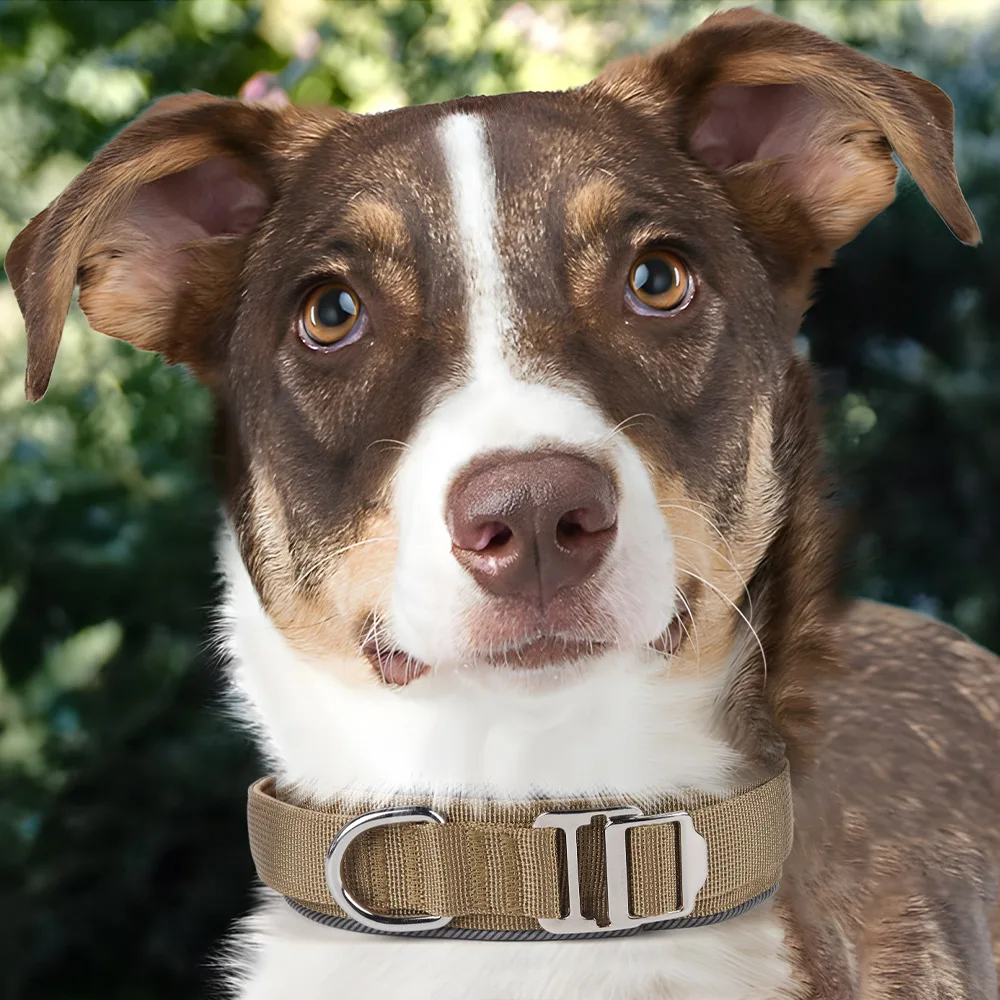 Collar reflectante táctico para perros grandes – Seguridad en paseos - imagen 2