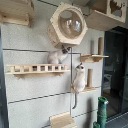 Estantes de pared de madera para gatos de interior, árbol para gatos montado en la pared con Pedal de hamaca rascador de Sisal para juego de gatitos