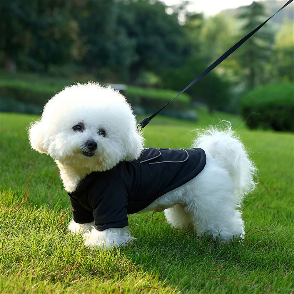 Chaqueta cálida a prueba de viento para perros, chaleco, ropa de invierno para mascotas con arnés, abrigo para perro Bulldog Francés, Chihuahua, disfraz para cachorros pequeños y medianos - imagen 3