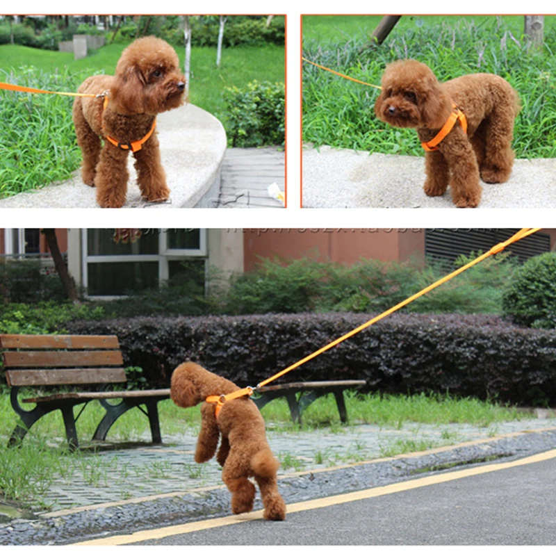 Arnés electrónico LED para mascotas, accesorios de nailon para perros, luz intermitente, correa para mascotas, cinturón de cuerda, chaleco brillante para perros, suministros para mascotas - imagen 5