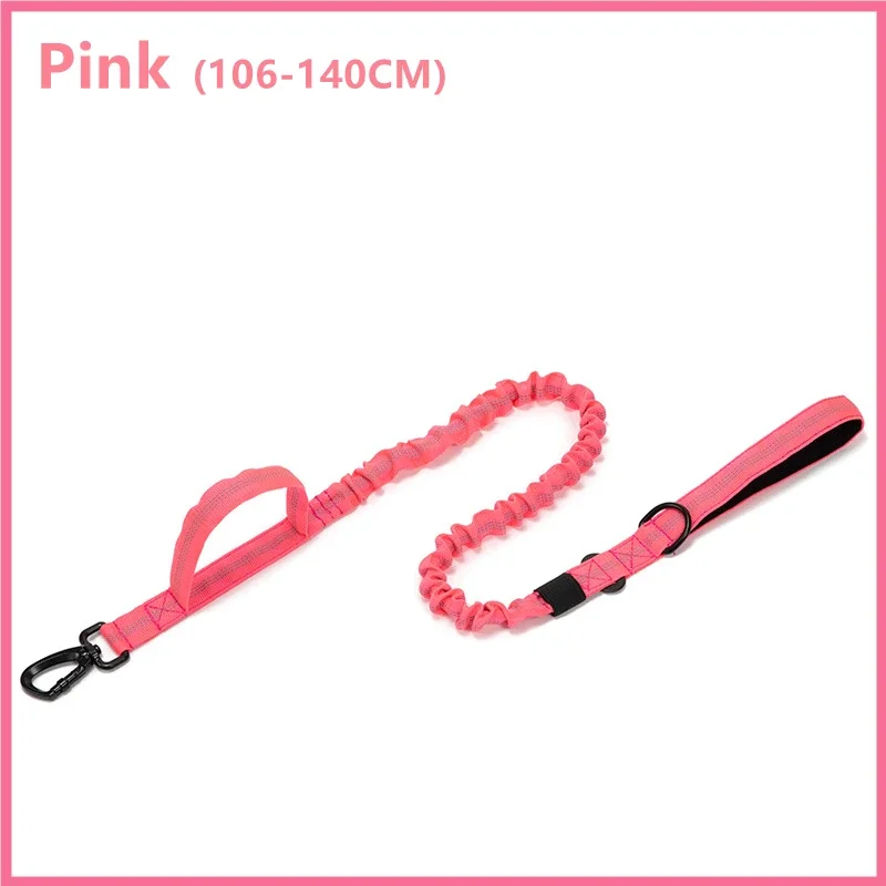 Pink Leash