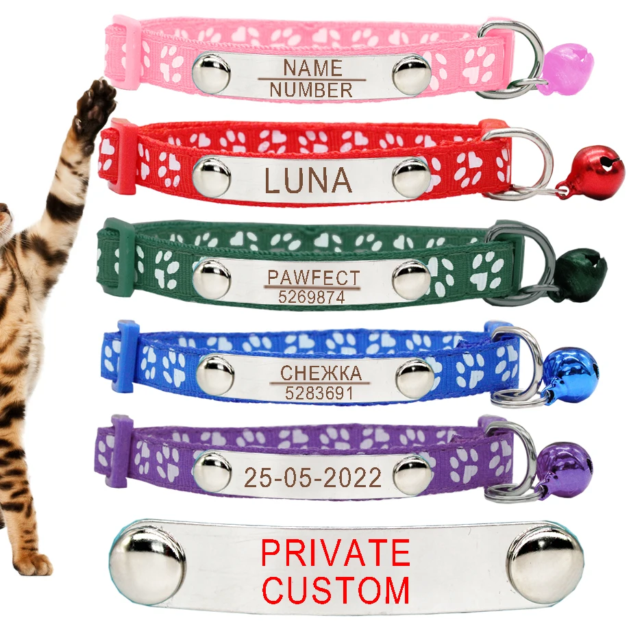 Collar PAWFECT con ID personalizado - vista principal