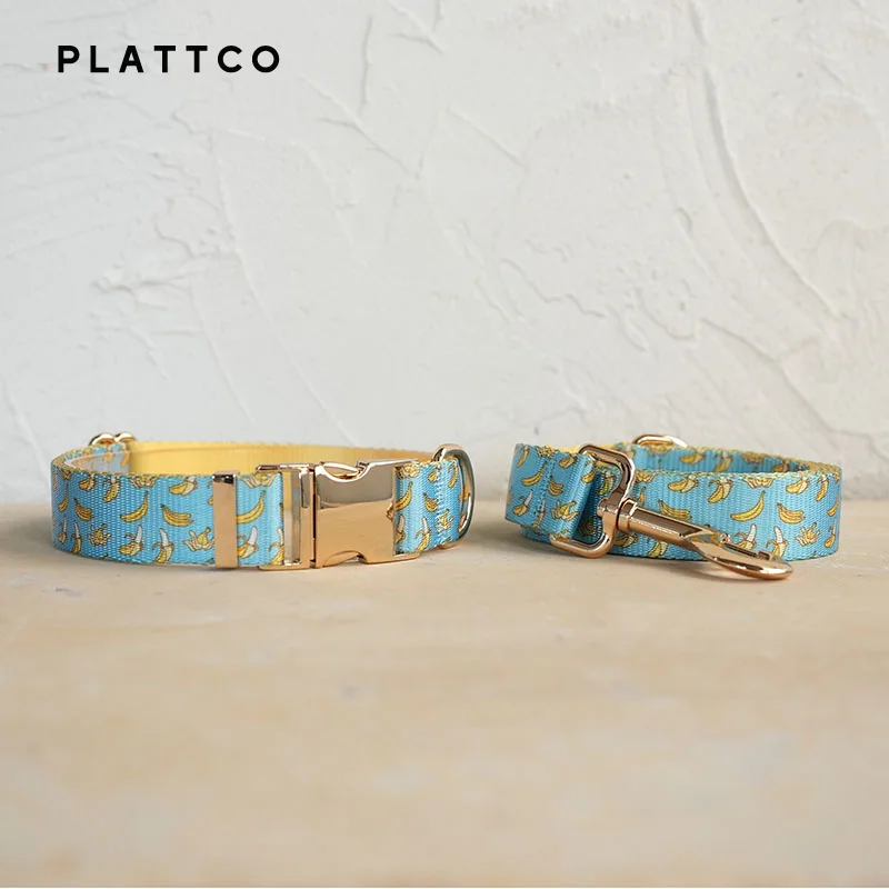 Dog Collar Leash Set