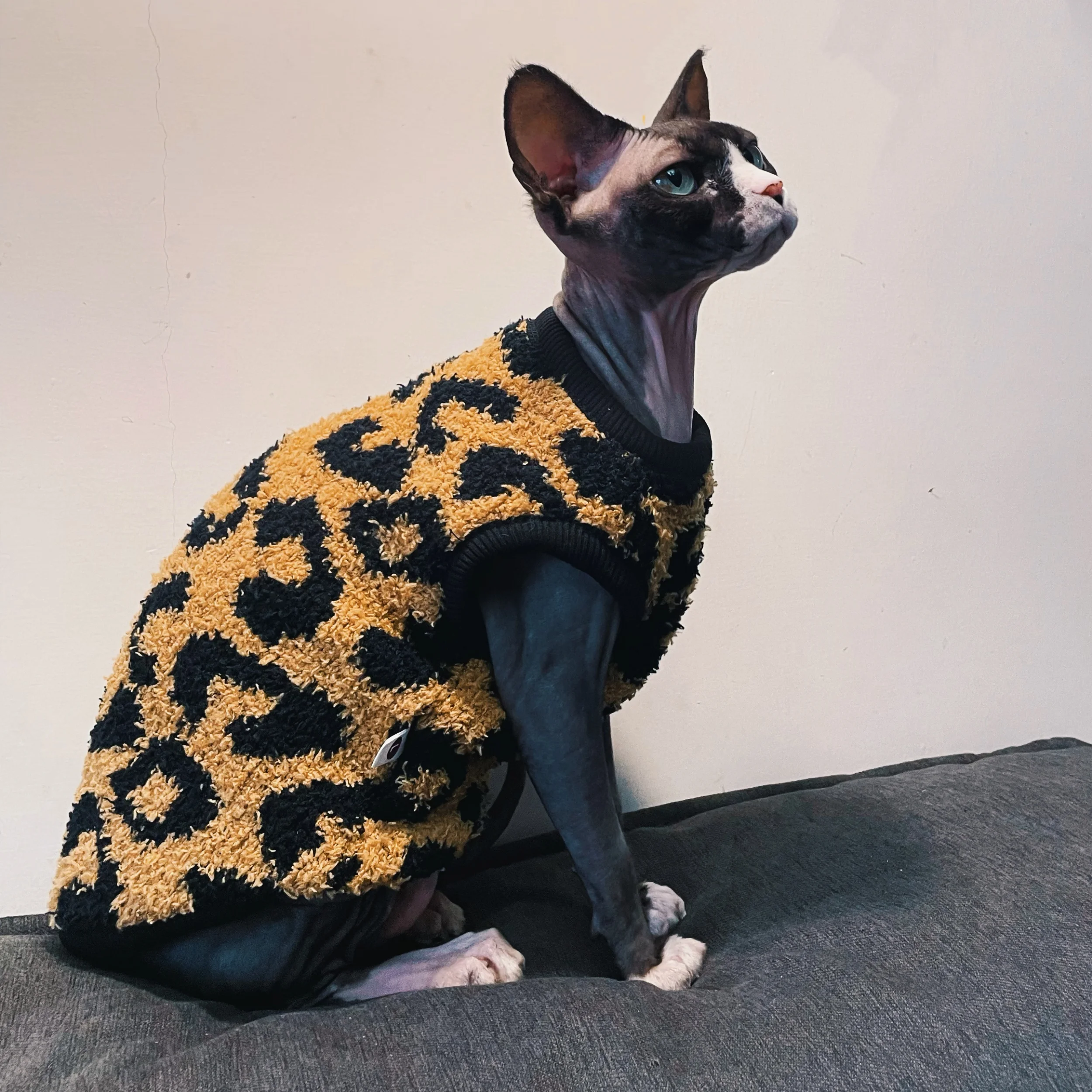 Brwon-abrigo polar de leopardo para gato sin pelo, chaleco de manga corta suave y cálido para invierno, suéter de Color oscuro Devon Rex para gato Sphynx