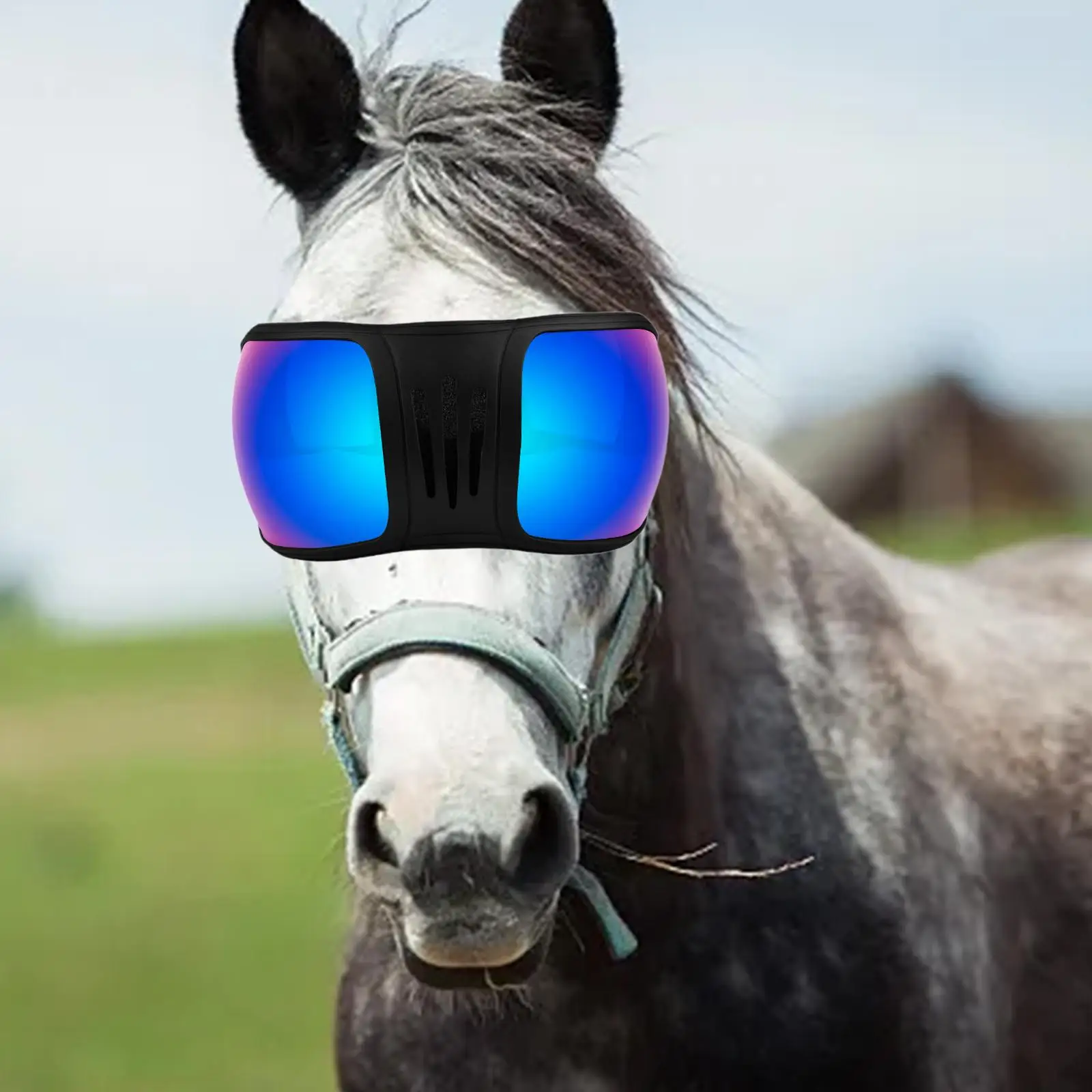 Horse Racing Goggles Windproof Horse Eye Cover for Jumping Outdoor Trail