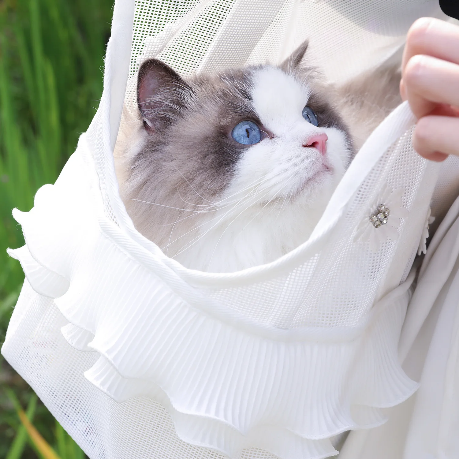 Transportín de malla para gatos y perros pequeños - imagen 2