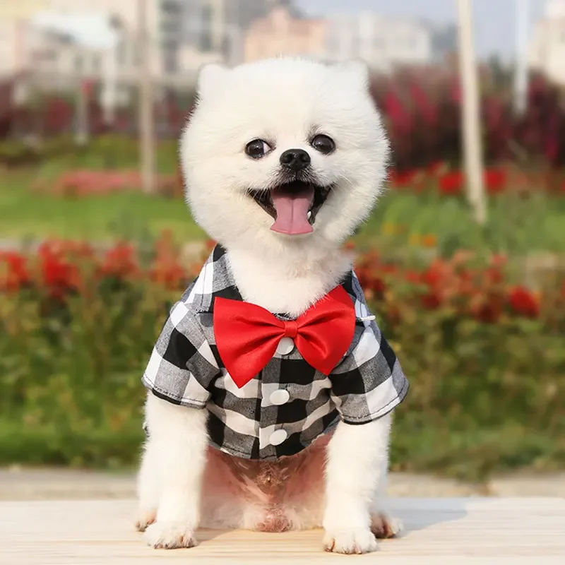 Camisa a cuadros para perros, ropa bonita para perros y pajarita, conjunto combinado para perros pequeños, medianos y grandes, gatos, fiesta de cumpleaños y vacaciones - imagen 3