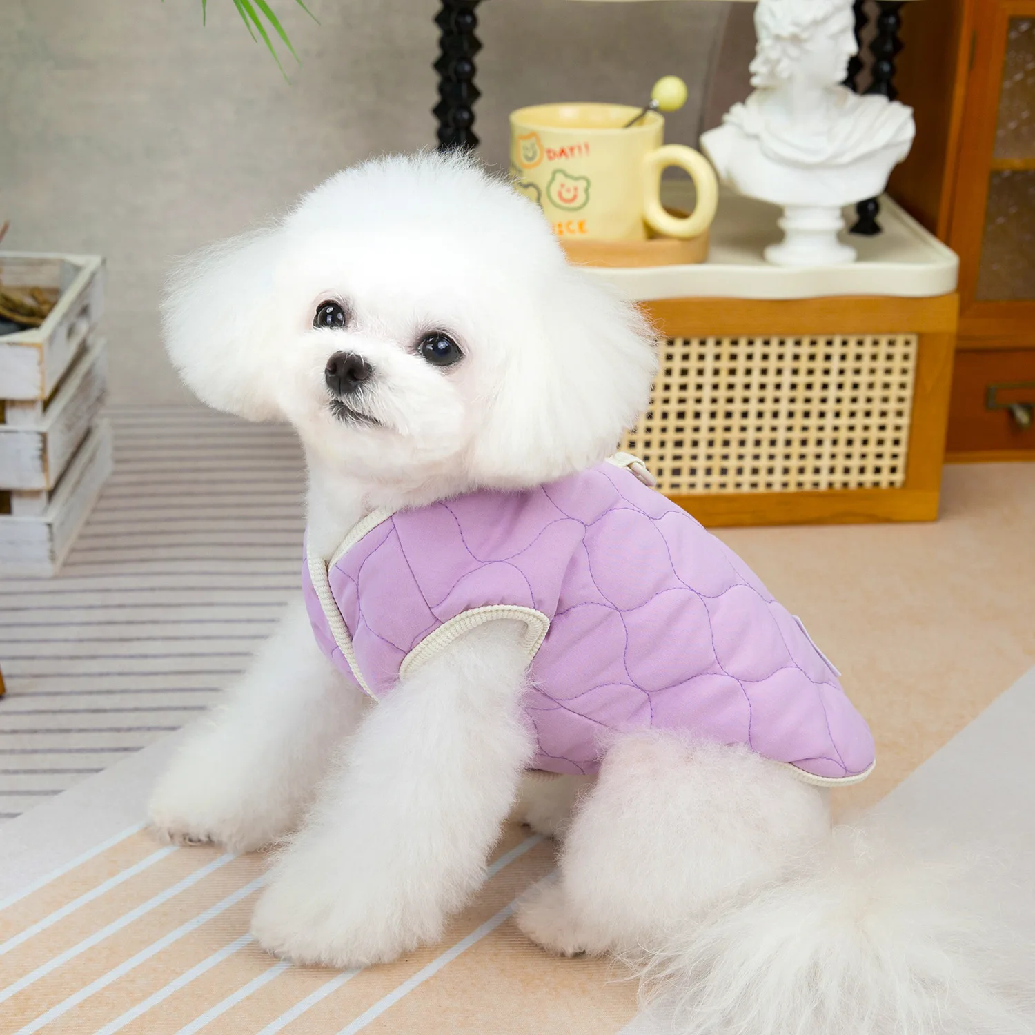 Ropa acolchada de algodón para mascotas, ropa de dos patas para cachorros y gatos, chaleco térmico de algodón con forro polar bordado acolchado, otoño e invierno - imagen 5