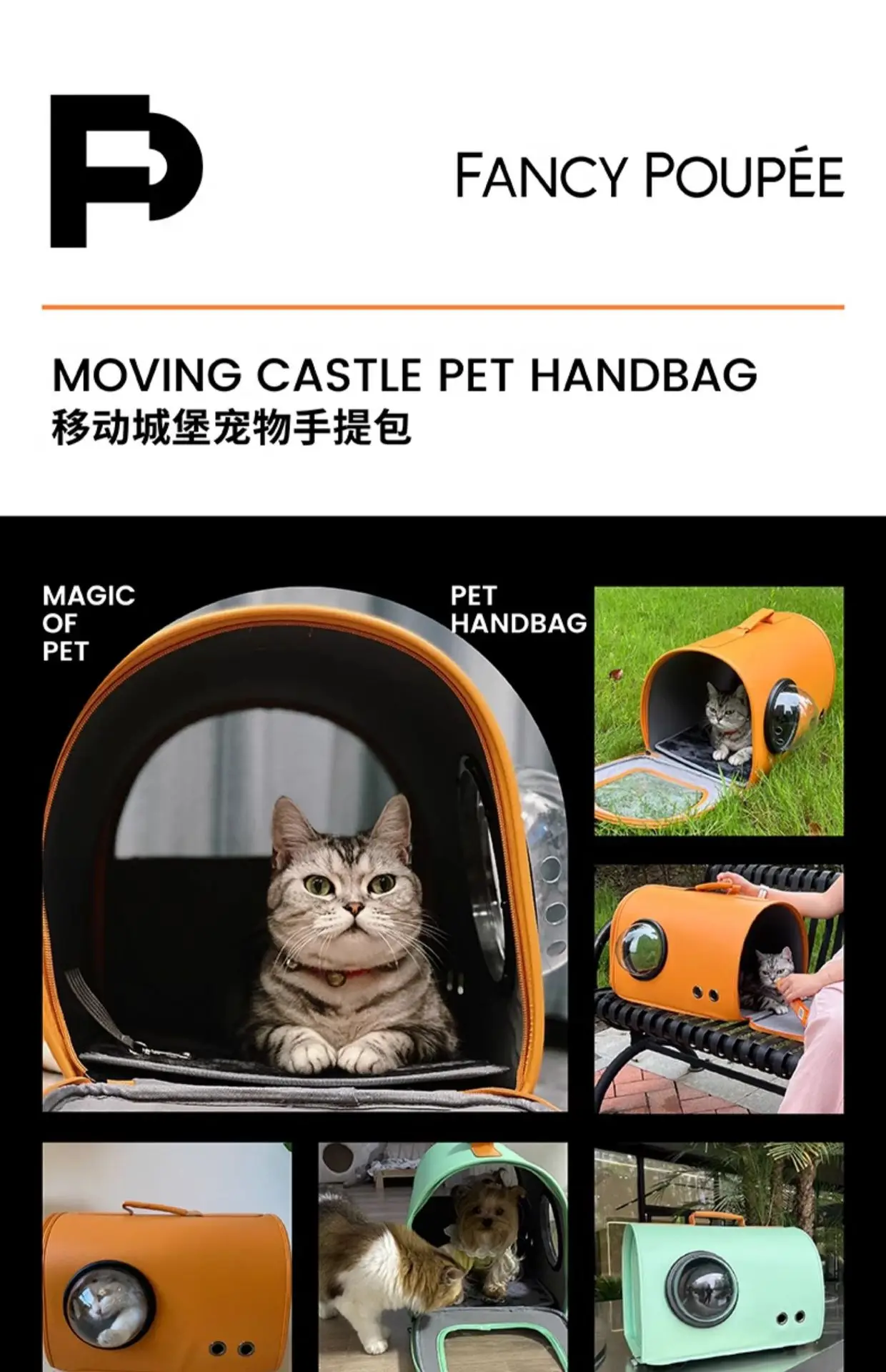 hmqViviiyNSAyin9Wuaft/e7zEW9dhEpye6R