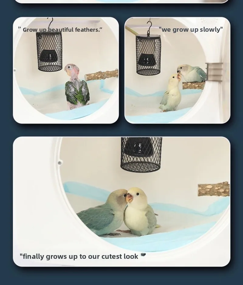 44ba7cc9-3d5f-4692-90c9-f416269c5cf9.jpe