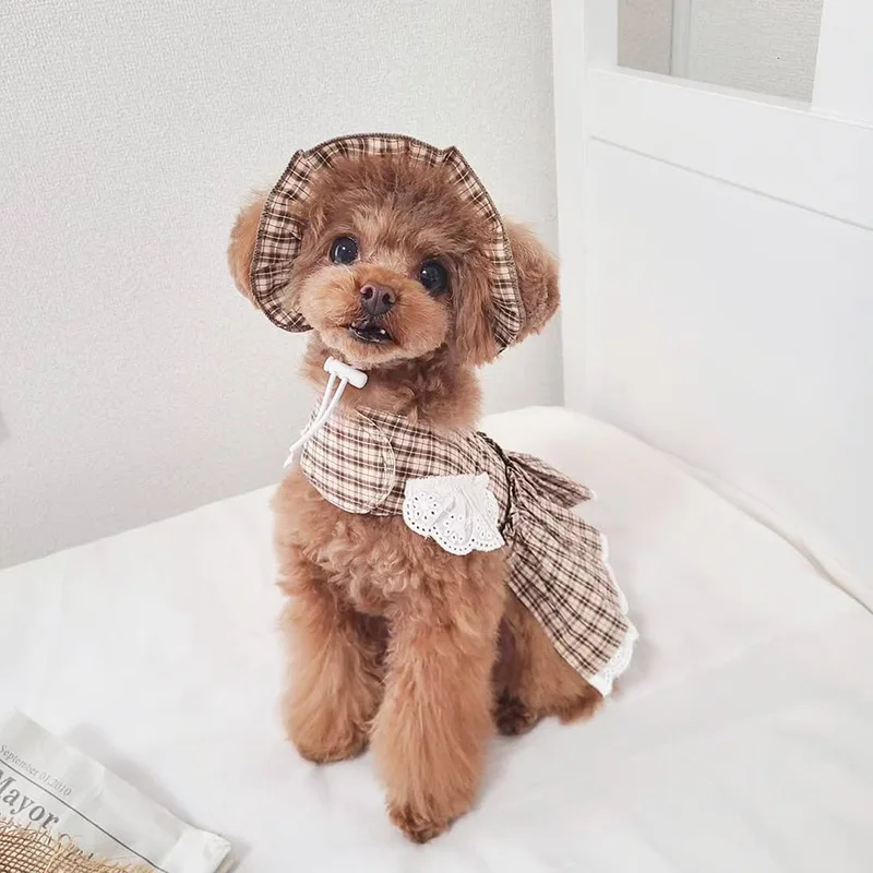 Conjunto de tracción a cuadros para mascotas, vestido con sombrero, princesa a cuadros, cumpleaños, caminar, salir de perros para fotos, conjunto de arnés y correa - imagen 5