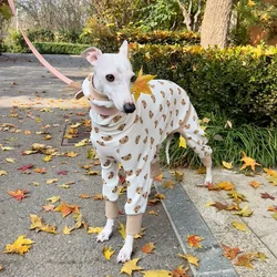 Camiseta verano para galgo italiano y whippet – Algodón transpirable