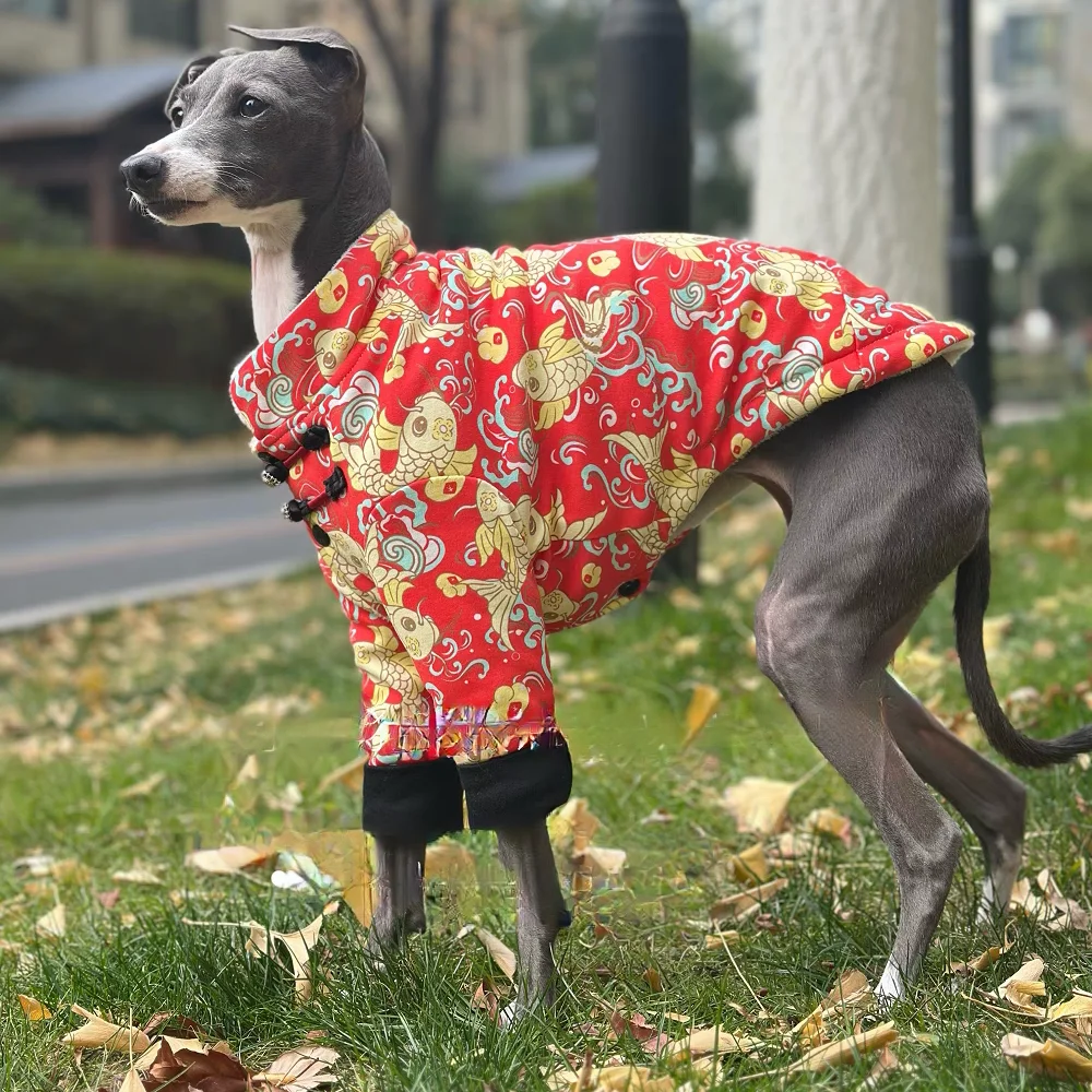 Chaqueta de forro polar con hebilla de nudo chino para Italia Greyhound Invierno cálido Manga larga Abrigo rojo para perros medios Traje de Año Nuevo de Wellington - imagen 5