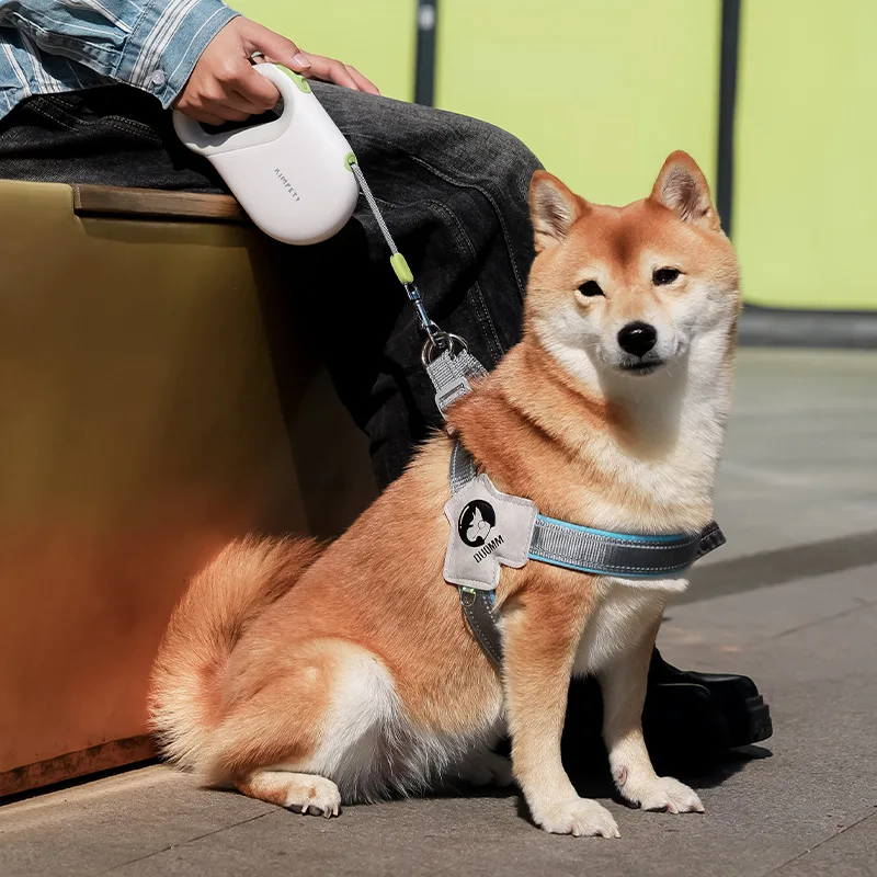 Correa retráctil automática para mascotas de 5 m: ¡perfecta para perros y gatos medianos a pequeños para viajes y caminatas al aire libre! - imagen 4