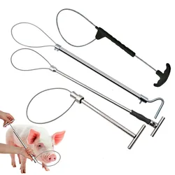 Dispositivo de sujeción con cable para gatos y perros - Mango de cobre