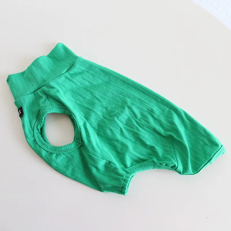 Ajuste de la chaqueta en galgo italiano