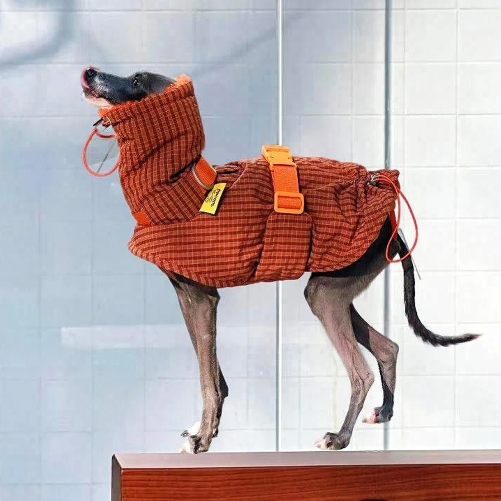 Abrigo de Invierno para Perro - Naranja acolchado con cuello alto