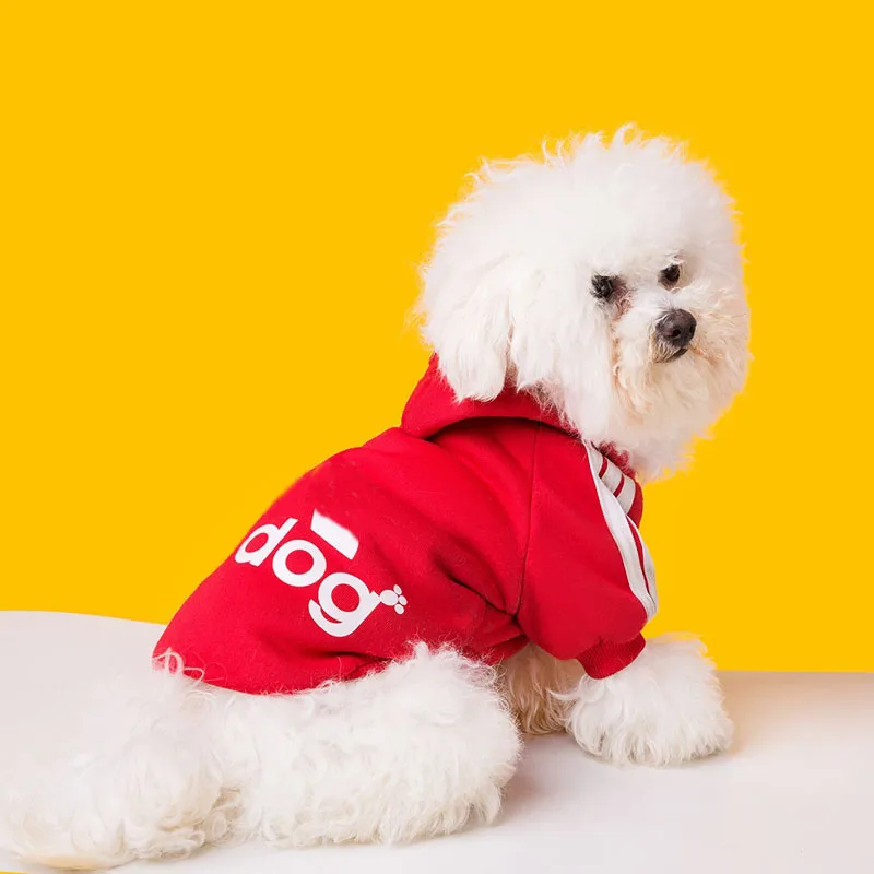 Ropa para perros de diseño de marca, sudaderas con capucha para perros pequeños y medianos, ropa deportiva para mascotas, Sudadera con capucha, disfraz para cachorros y gatos, primavera y otoño - imagen 2