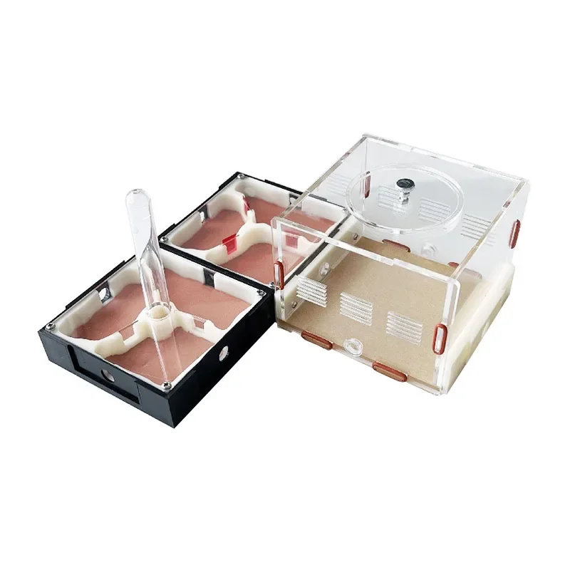 Nido de hormigas acrílico de granja de hormigas de expansión ilimitada con área de alimentación, taller de antill de yeso para mascotas, casa de hormigas, torre de agua hidratante - imagen 2