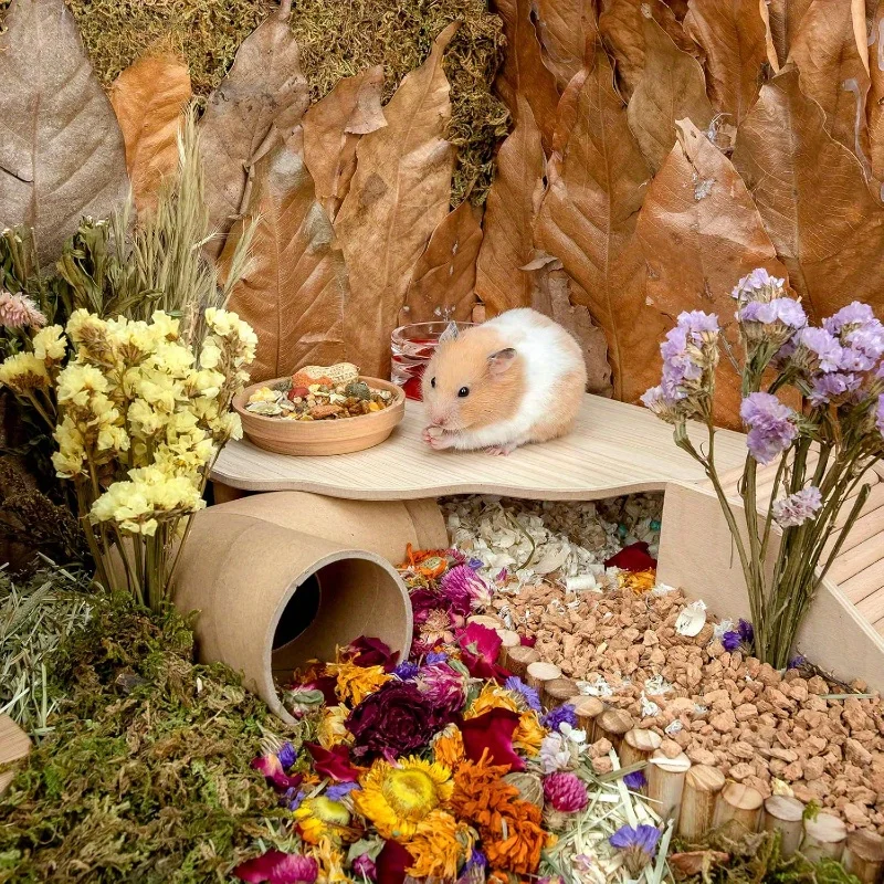 Plataforma de madera, jaula para animales pequeños, suministros de paisajismo, accesorios para hámster, juguete de escalada para ratas, juguetes para hámster, suministros para mascotas pequeñas - imagen 4