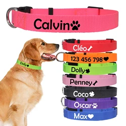 Collar identificativo para perro – Placa grabable con nombre y teléfono