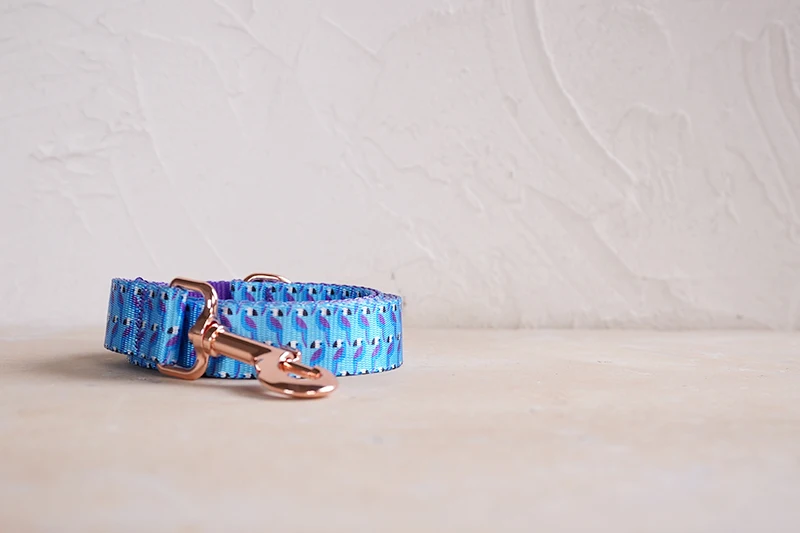 Correa PLATTCO con estampado toucan