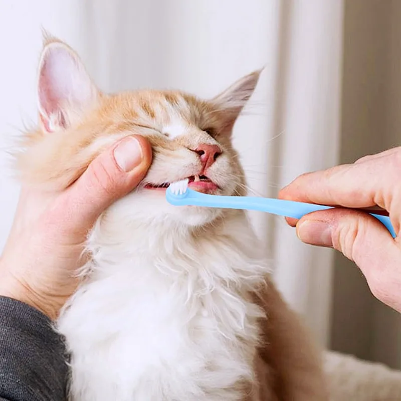 Cepillo de dientes para perros, 3 uds., cabezal redondo pequeño, cepillo de dientes para mascotas, cepillos de dientes de pelo suave para limpieza de dientes de perro, cepillos de dientes para gatos, productos para mascotas - imagen 4