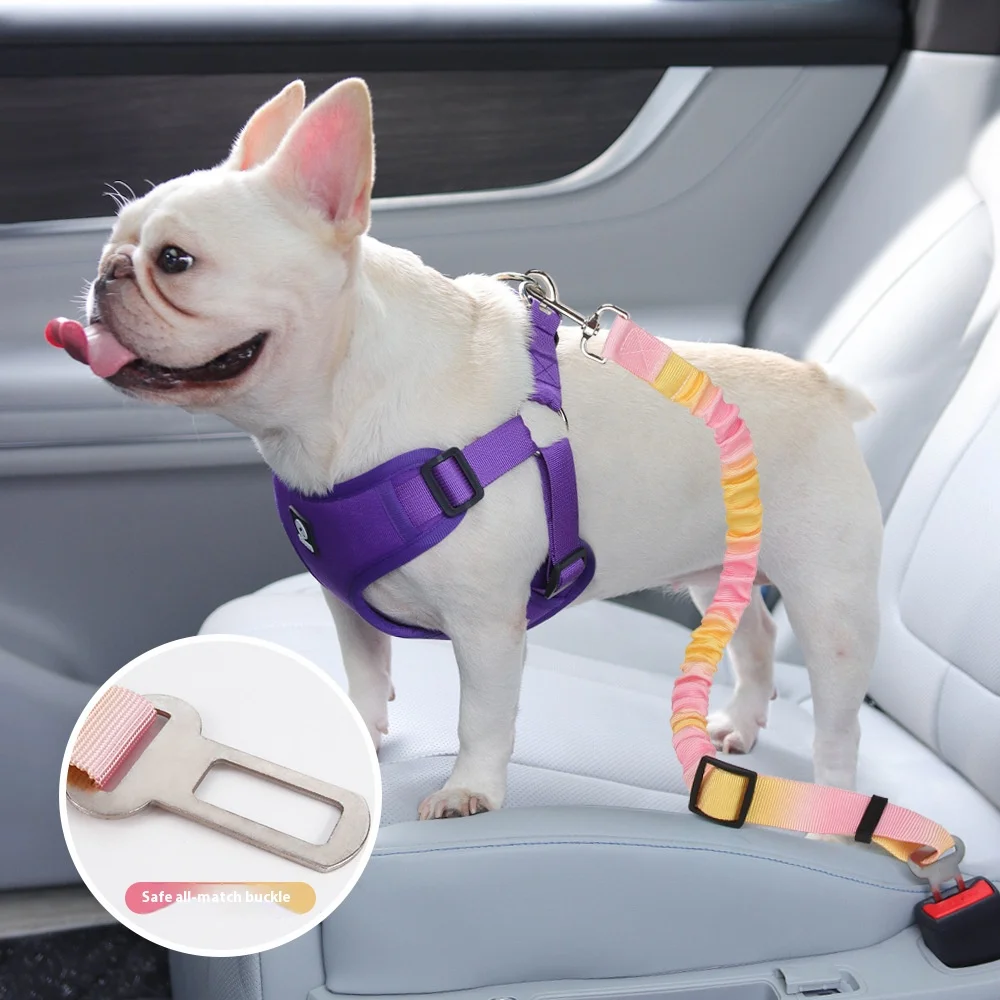 Correa retráctil para perro, cinturón de seguridad ajustable para coche, anticarro, correa elástica duradera para viaje de mascotas, accesorio seguro - imagen 4