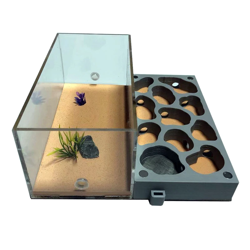 Granja de hormiga plana con impresión 3D, con área de alimentación, nido de hormigero de hormigón con bebedero, taller de hormigero para mascotas - imagen 3