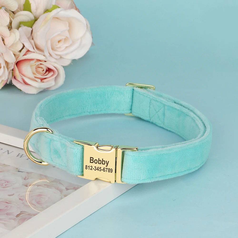 Perro - Diseño para perro