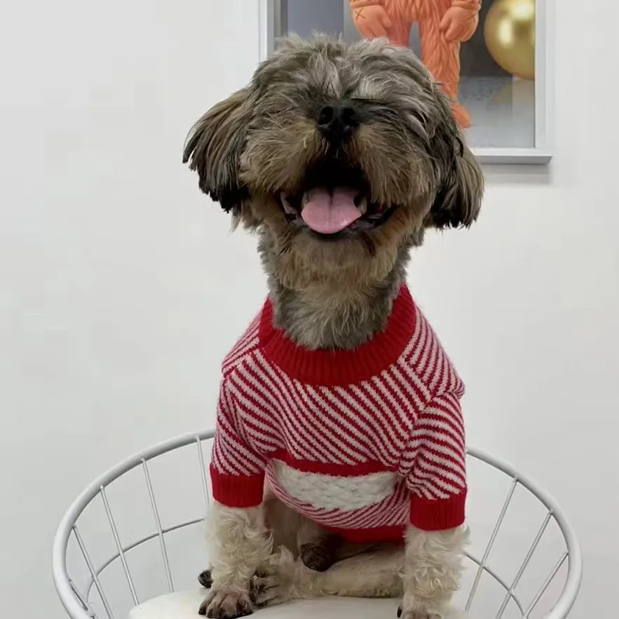 Suéter cachemira para gatos y perros pequeños – estilo oriental - imagen 3