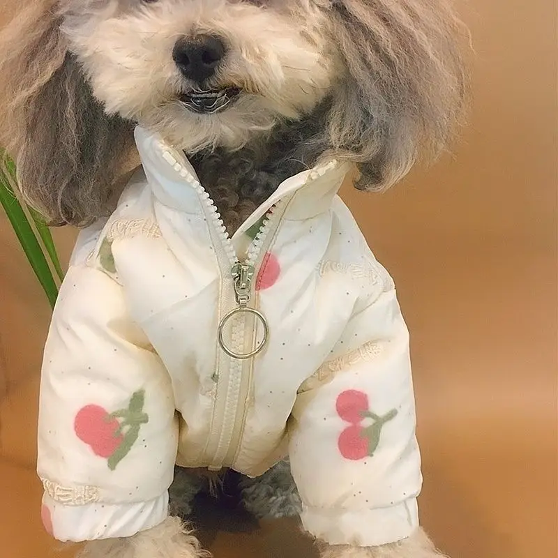 Nueva ropa de invierno para perros Ins, abrigo cálido de cereza blanca, chaqueta de algodón con cuello alto y cremallera para perros, ropa de Navidad para perros, diseño de moda - imagen 2