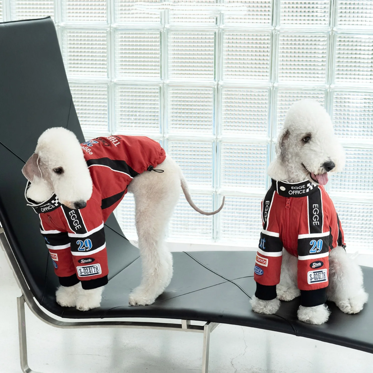 Traje de carreras Retro rojo para perros Chaqueta de algodón bordada de primera calidad para Whippet en otoño invierno abrigo cálido de motocicleta para galgos - imagen 3