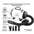 White-Blow Suction