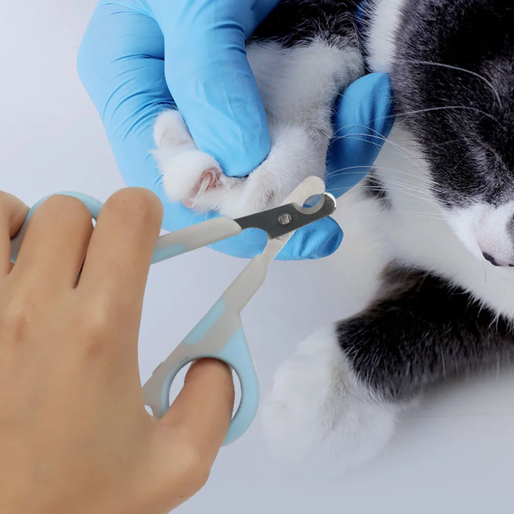 Pet Cat Nail Clippers, Professional Nail Scissors for Cats/Teddy Puppies, Sharp Dog Nail Cutters, Essential Pet Grooming Tools - imagen 2