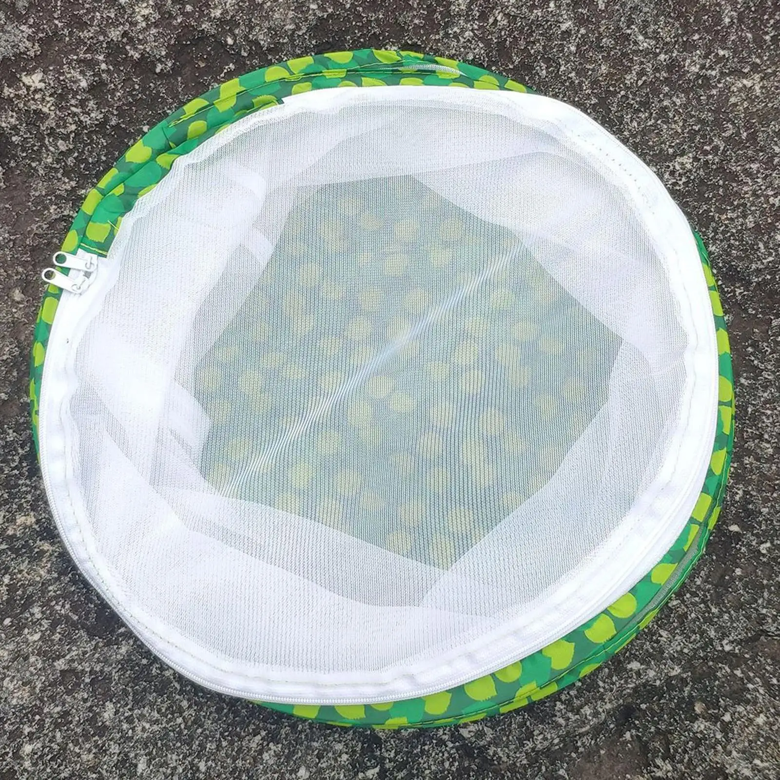 Insect and Butterfly Habitat Cage, up Design, for Nature Observation, Butterflies and Insects Raising Insect and Butterfly Habitat Cage, up Design, for Nature Observation, Butterflies and Insects Raising